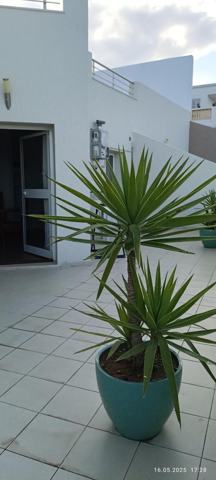 Residence Debbabi Sans Coupure D'Eau Monastir Room photo